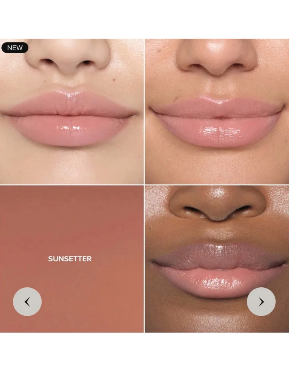 NEW✅ABH Sunsetter